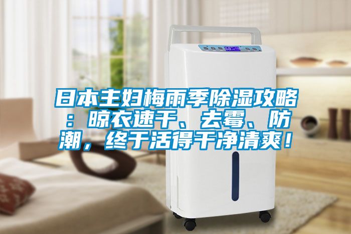日本主婦梅雨季除濕攻略：晾衣速干、去霉、防潮，終于活得干凈清爽！