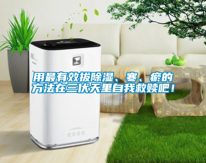 用最有效拔除濕、寒、瘀的方法在三伏天里自我救贖吧！