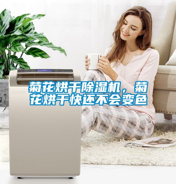 菊花烘干除濕機(jī)，菊花烘干快還不會變色