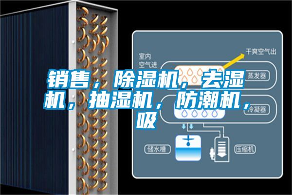 銷售，除濕機(jī)，去濕機(jī)，抽濕機(jī)，防潮機(jī)，吸
