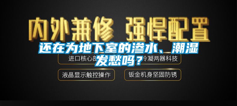 還在為地下室的滲水、潮濕發(fā)愁嗎？