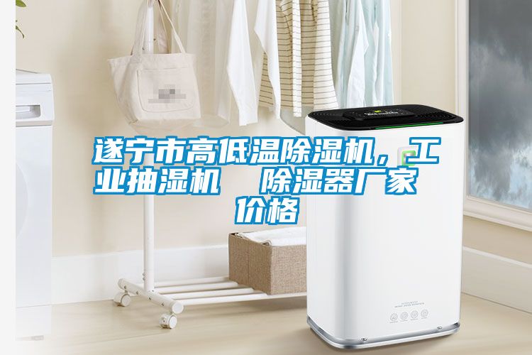 遂寧市高低溫除濕機(jī)，工業(yè)抽濕機(jī)  除濕器廠家 價(jià)格