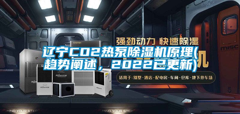 遼寧CO2熱泵除濕機(jī)原理(趨勢(shì)闡述，2022已更新)