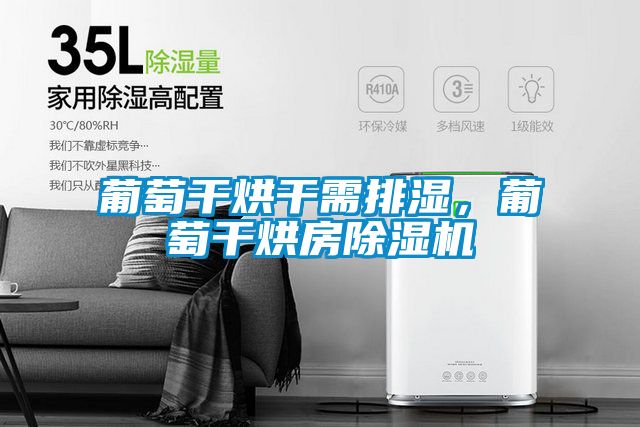 葡萄干烘干需排濕，葡萄干烘房除濕機(jī)