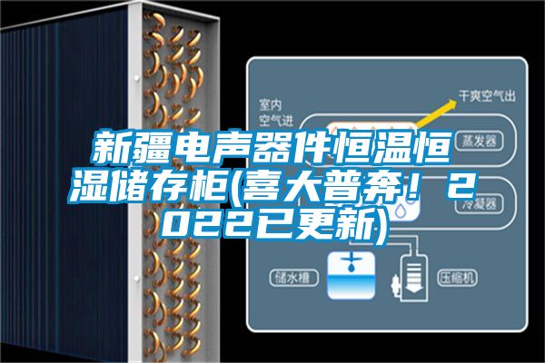 新疆電聲器件恒溫恒濕儲(chǔ)存柜(喜大普奔！2022已更新)