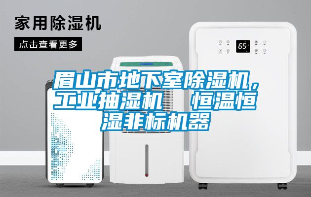 眉山市地下室除濕機(jī)，工業(yè)抽濕機(jī)  恒溫恒濕非標(biāo)機(jī)器
