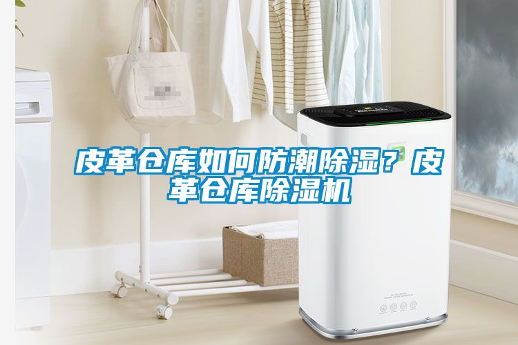 皮革倉(cāng)庫(kù)如何防潮除濕？皮革倉(cāng)庫(kù)除濕機(jī)