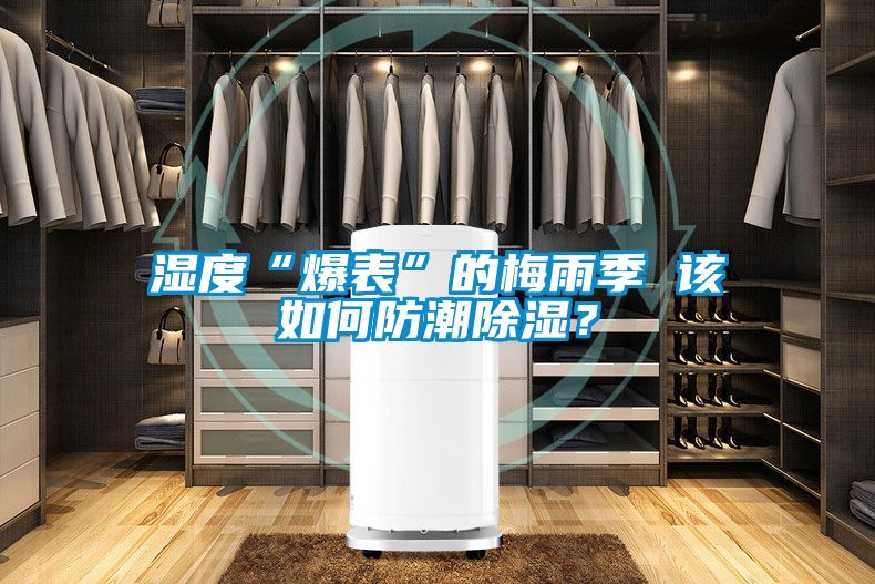 濕度“爆表”的梅雨季 該如何防潮除濕？