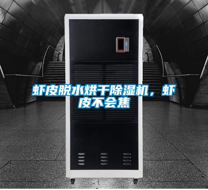 蝦皮脫水烘干除濕機，蝦皮不會焦
