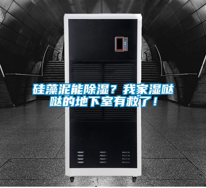 硅藻泥能除濕？我家濕噠噠的地下室有救了！