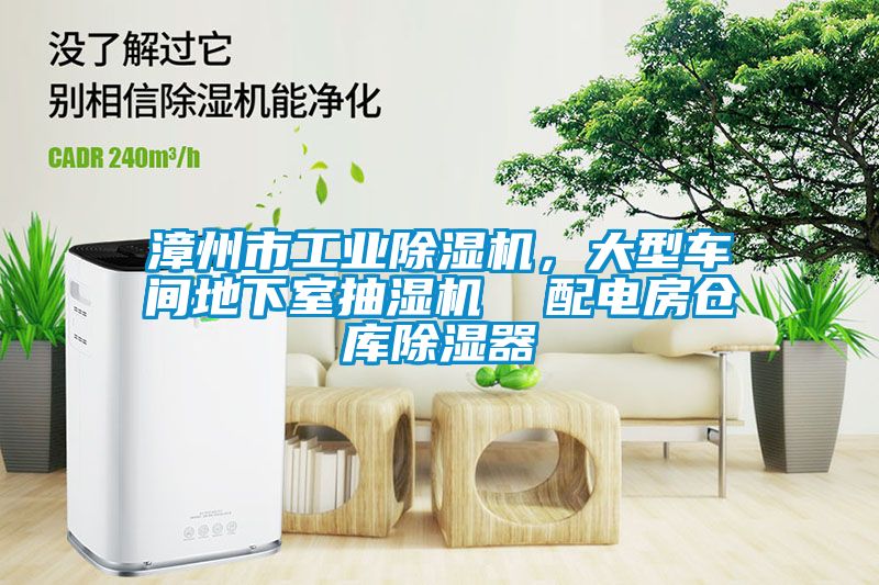 漳州市工業(yè)除濕機(jī)，大型車間地下室抽濕機(jī)  配電房倉庫除濕器
