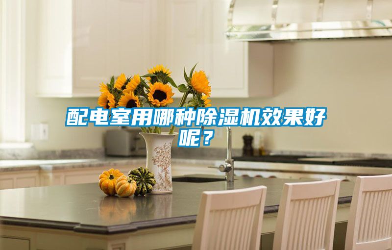 配電室用哪種除濕機(jī)效果好呢？
