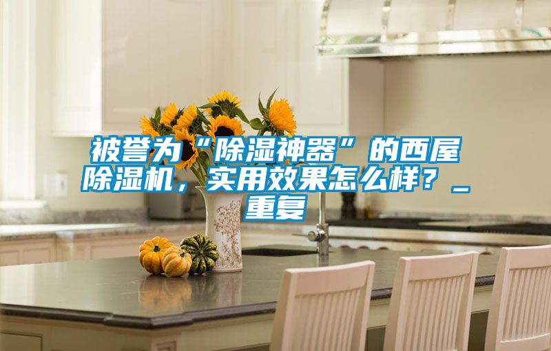 被譽(yù)為“除濕神器”的西屋除濕機(jī)，實(shí)用效果怎么樣？_重復(fù)