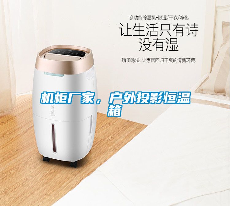 機(jī)柜廠家，戶外投影恒溫箱