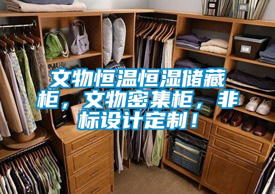 文物恒溫恒濕儲藏柜，文物密集柜，非標(biāo)設(shè)計定制！