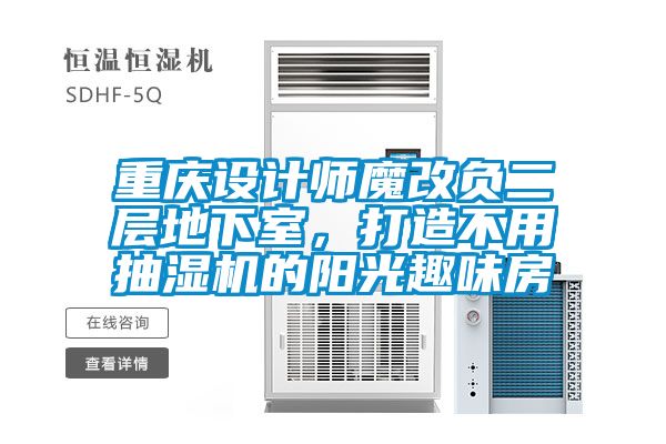 重慶設(shè)計(jì)師魔改負(fù)二層地下室，打造不用抽濕機(jī)的陽光趣味房