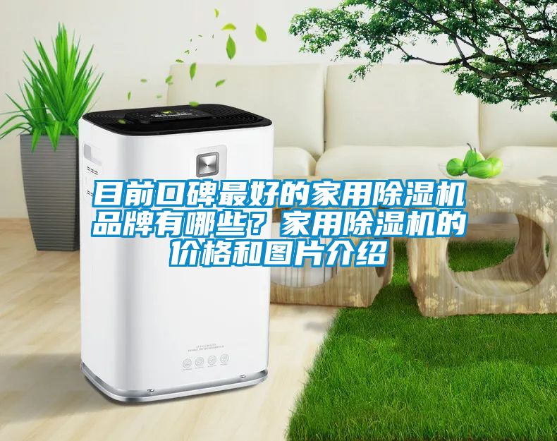 目前口碑最好的家用除濕機品牌有哪些？家用除濕機的價格和圖片介紹
