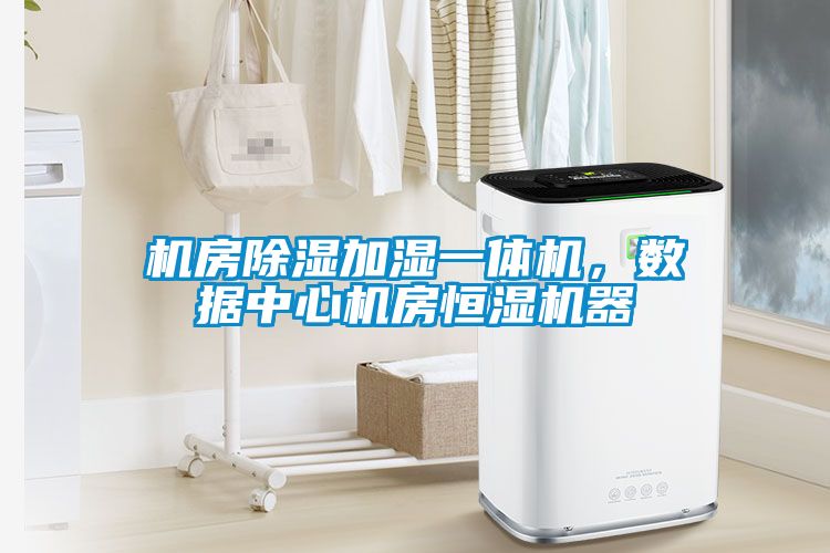 機(jī)房除濕加濕一體機(jī)，數(shù)據(jù)中心機(jī)房恒濕機(jī)器