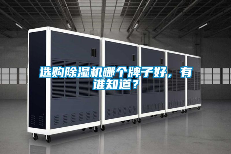 選購除濕機(jī)哪個牌子好，有誰知道？