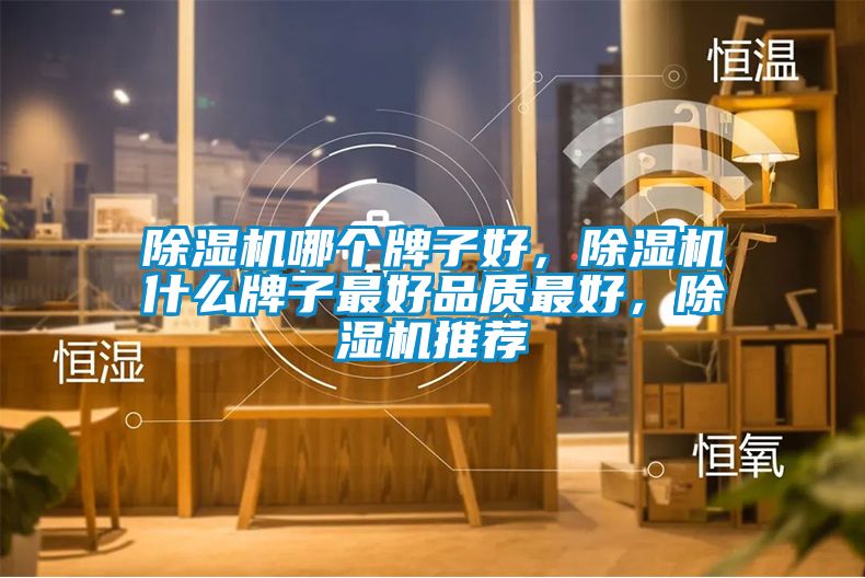 除濕機(jī)哪個(gè)牌子好，除濕機(jī)什么牌子最好品質(zhì)最好，除濕機(jī)推薦