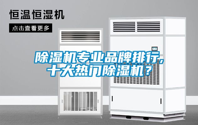 除濕機(jī)專業(yè)品牌排行,十大熱門除濕機(jī)？