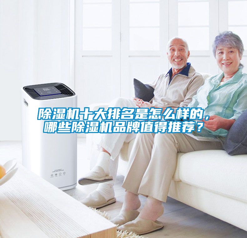 除濕機十大排名是怎么樣的，哪些除濕機品牌值得推薦？