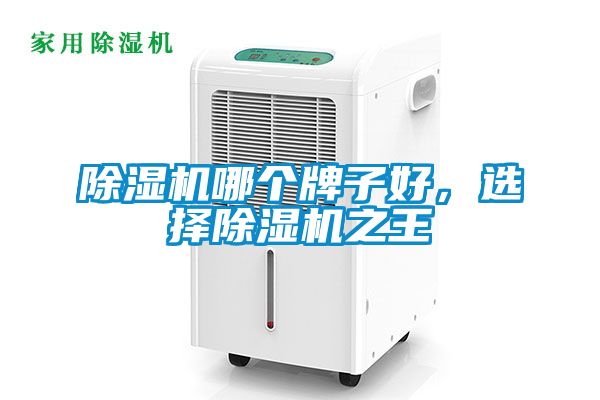 除濕機哪個牌子好，選擇除濕機之王