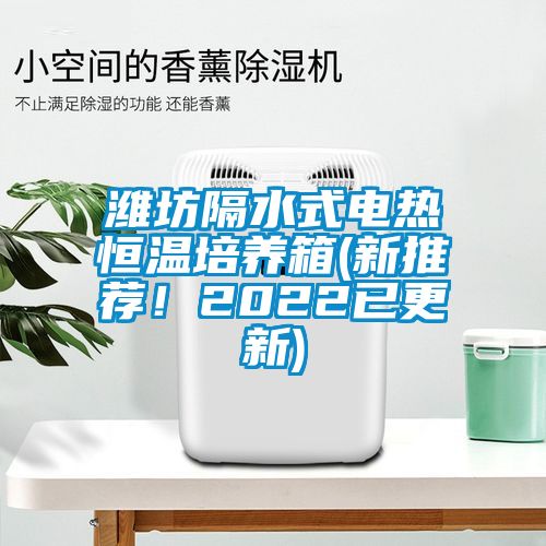 濰坊隔水式電熱恒溫培養(yǎng)箱(新推薦！2022已更新)