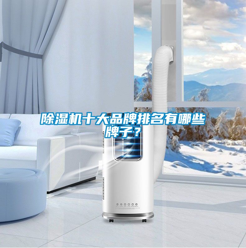 除濕機(jī)十大品牌排名有哪些牌子？