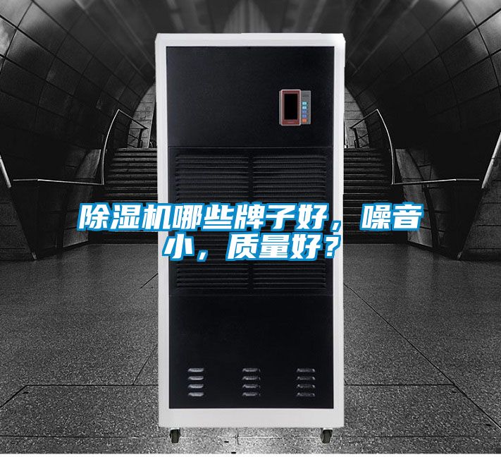 除濕機哪些牌子好，噪音小，質量好？
