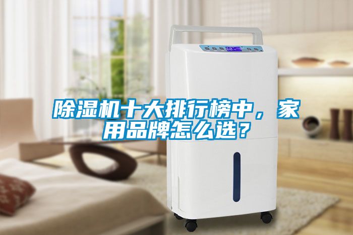 除濕機十大排行榜中，家用品牌怎么選？