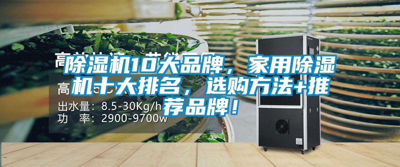 除濕機10大品牌，家用除濕機十大排名，選購方法+推薦品牌！