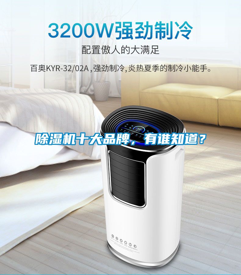 除濕機(jī)十大品牌，有誰(shuí)知道？