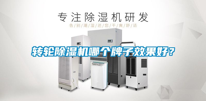 轉(zhuǎn)輪除濕機(jī)哪個(gè)牌子效果好？