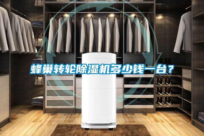 蜂巢轉輪除濕機多少錢一臺？