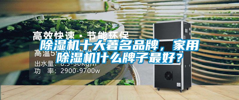 除濕機(jī)十大著名品牌，家用除濕機(jī)什么牌子最好？