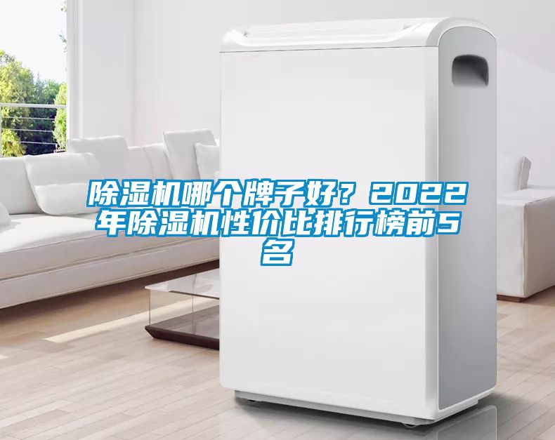 除濕機(jī)哪個(gè)牌子好？2022年除濕機(jī)性價(jià)比排行榜前5名