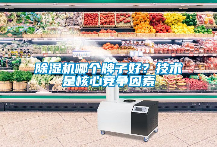 除濕機(jī)哪個(gè)牌子好？技術(shù)是核心競(jìng)爭(zhēng)因素