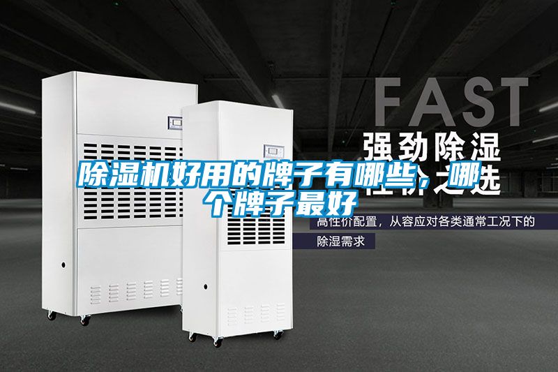 除濕機好用的牌子有哪些，哪個牌子最好