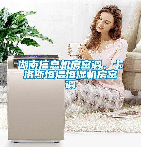湖南信息機(jī)房空調(diào)，卡洛斯恒溫恒濕機(jī)房空調(diào)