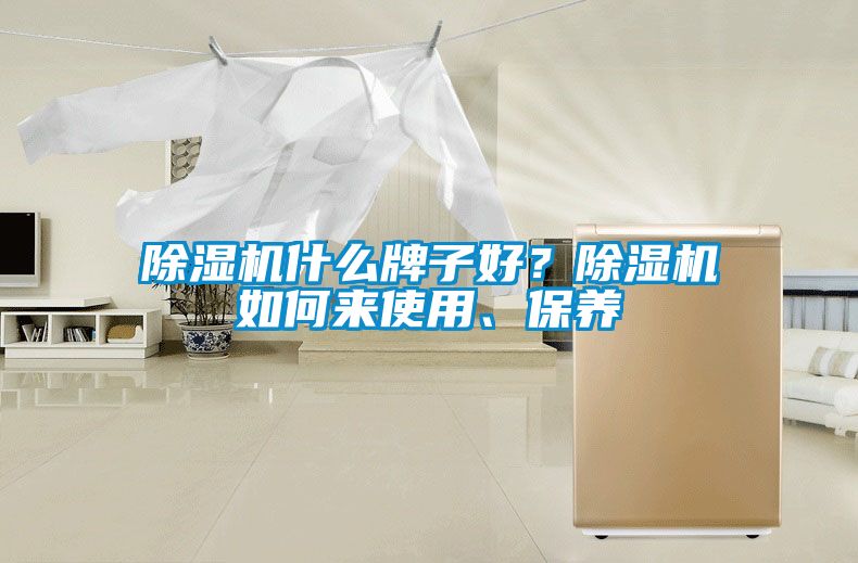 除濕機(jī)什么牌子好？除濕機(jī)如何來使用、保養(yǎng)
