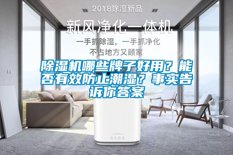 除濕機(jī)哪些牌子好用？能否有效防止潮濕？事實(shí)告訴你答案