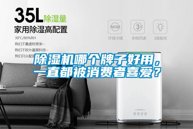 除濕機哪個牌子好用，一直都被消費者喜愛？