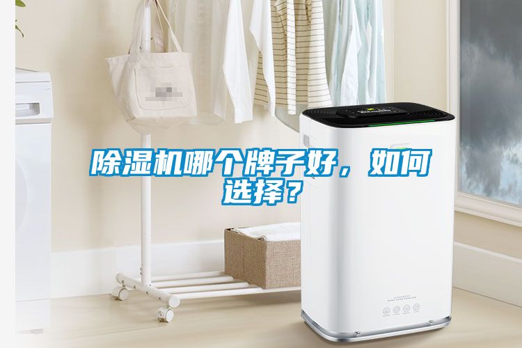 除濕機(jī)哪個牌子好，如何選擇？