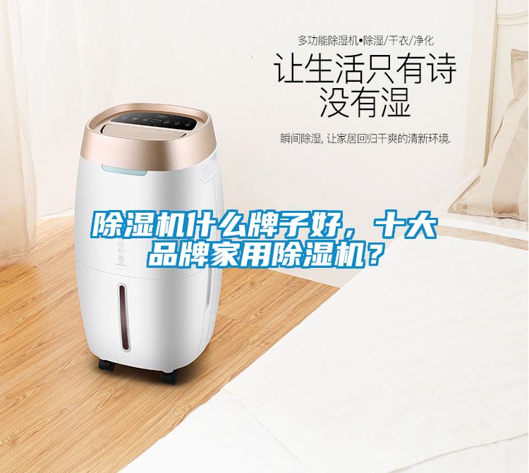 除濕機(jī)什么牌子好，十大品牌家用除濕機(jī)？