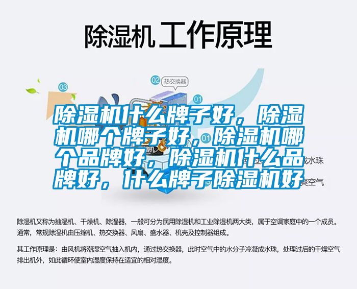除濕機什么牌子好，除濕機哪個牌子好，除濕機哪個品牌好，除濕機什么品牌好，什么牌子除濕機好