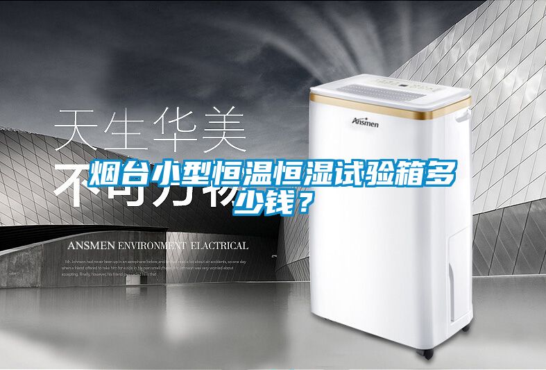 煙臺小型恒溫恒濕試驗箱多少錢？