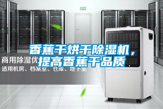 香蕉干烘干除濕機，提高香蕉干品質(zhì)