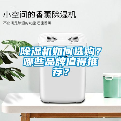 除濕機(jī)如何選購？哪些品牌值得推薦？