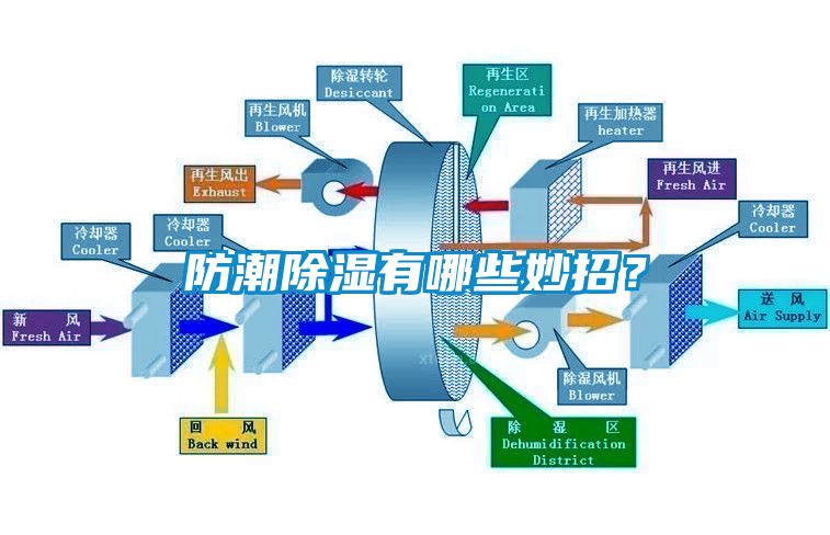 防潮除濕有哪些妙招？